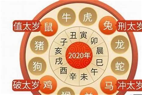 属虎人2023年运势|属虎2023年全年运势及运程详解 2023年属虎人的全年每月运势怎。